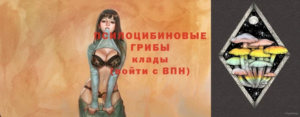 ALPHA PVP Богородицк
