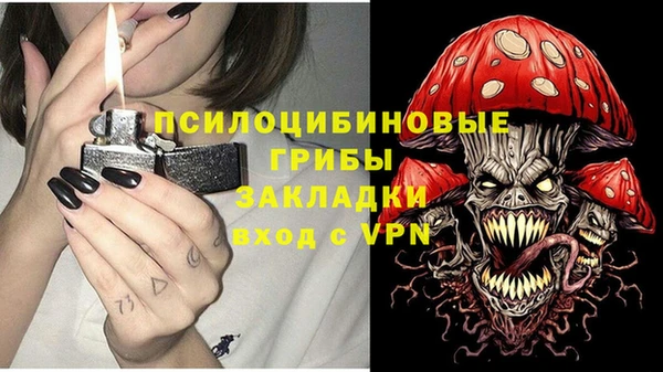 крисы Богданович