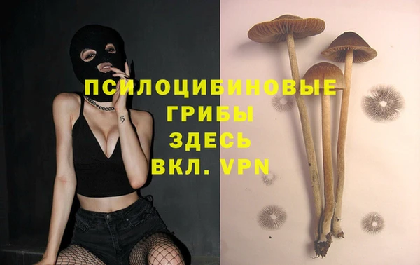 ALPHA PVP Богородицк