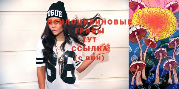крисы Богданович
