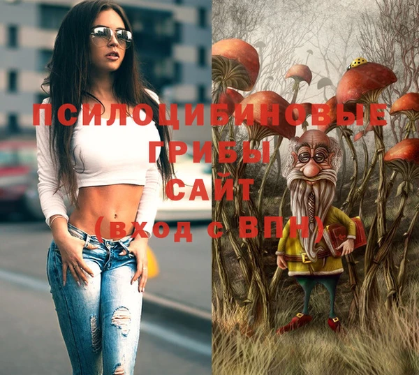 крисы Богданович