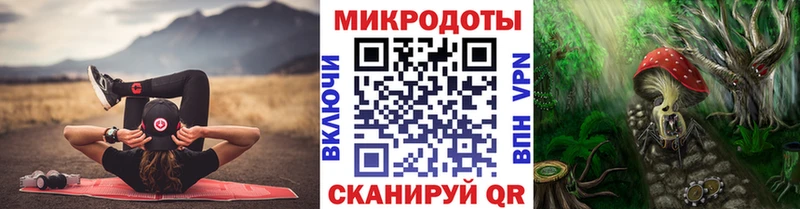 Псилоцибиновые грибы Psilocybine cubensis  Кашира 